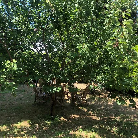 Garden House דירה *